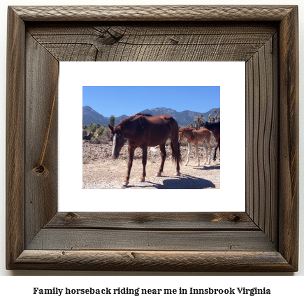 family horseback riding near me in Innsbrook, Virginia